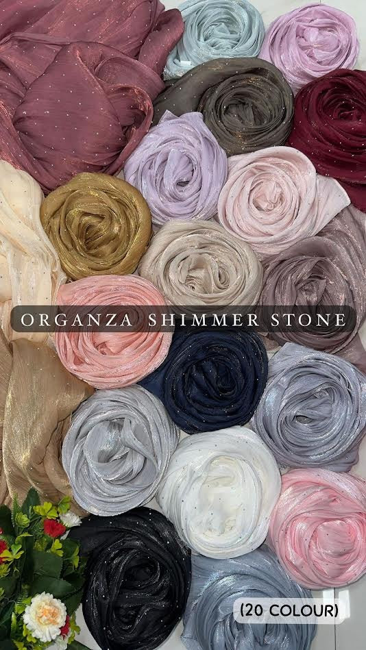 Imported Organza allover diamond work (Party Wear)